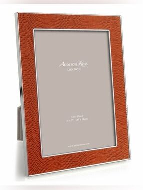 Addison Ross Orange Snake & Silver Picture Frame 4 x 6 Inch Silver-plated FR1210